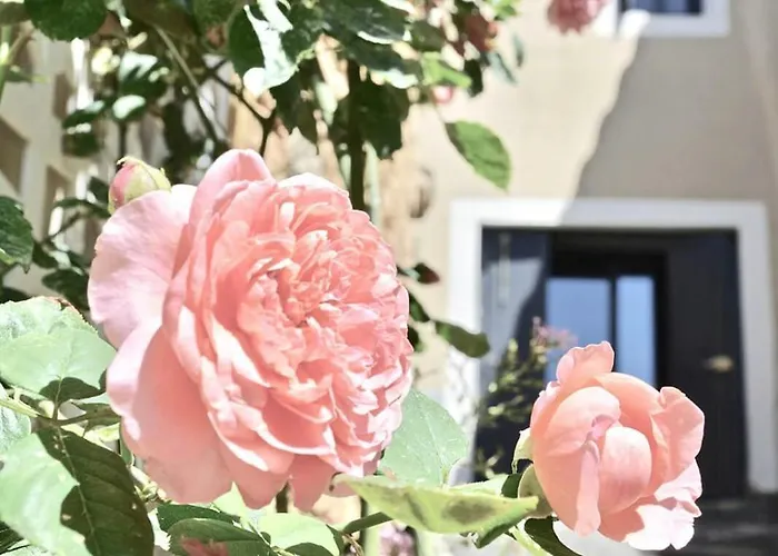 Semesterbostad In Cahors Wine Region Near Lot River Duravel