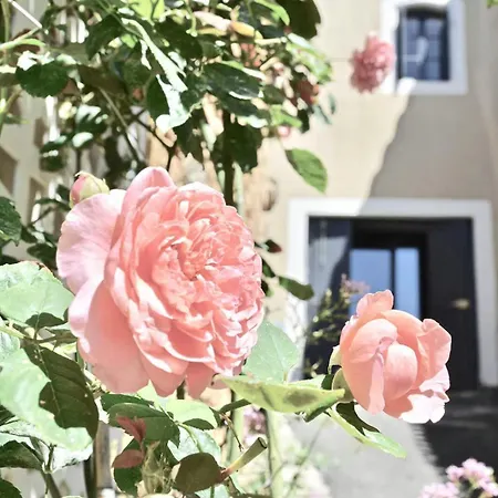 Feriehus In Cahors Wine Region Near Lot River Duravel