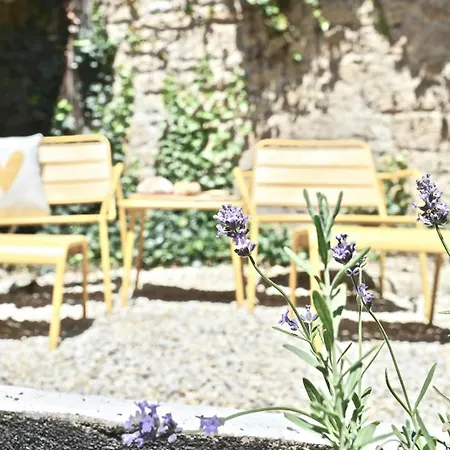 In Cahors Wine Region Near Lot River Feriehus *