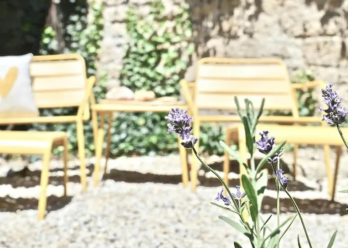 In Cahors Wine Region Near Lot River Tatil Evi *